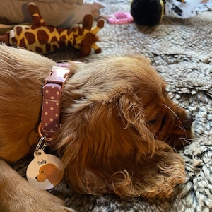 samantha added a photo of their purchase