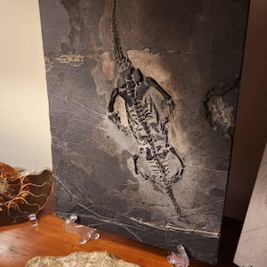 Scott added a photo of their purchase