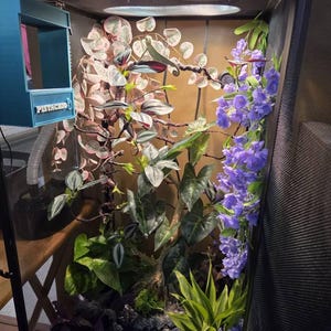 STEVEN added a photo of their purchase
