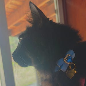 Ember added a photo of their purchase