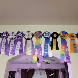 Showoff Ribbon Rack Barrel Racer - Etsy