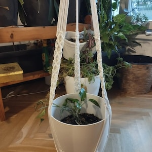 Agnes added a photo of their purchase