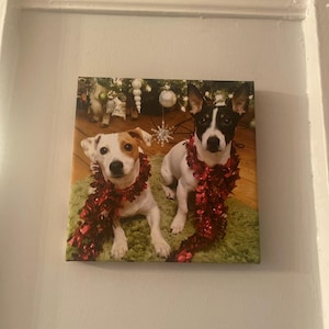 Christine added a photo of their purchase