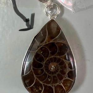 Casey added a photo of their purchase