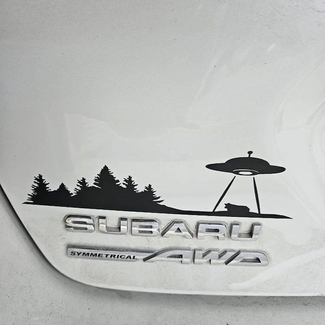 Fuck Around And Find Out - Cobra With Grenade Gadsden\" Sticker For Sale By Edixo