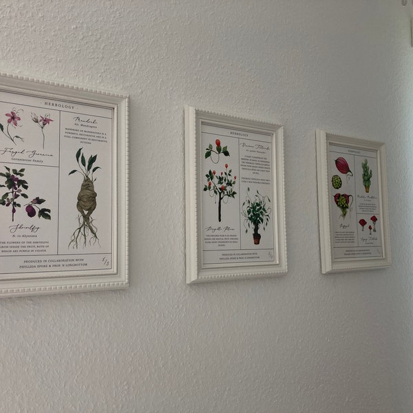 Herbology Chart A4 Print Set - Etsy