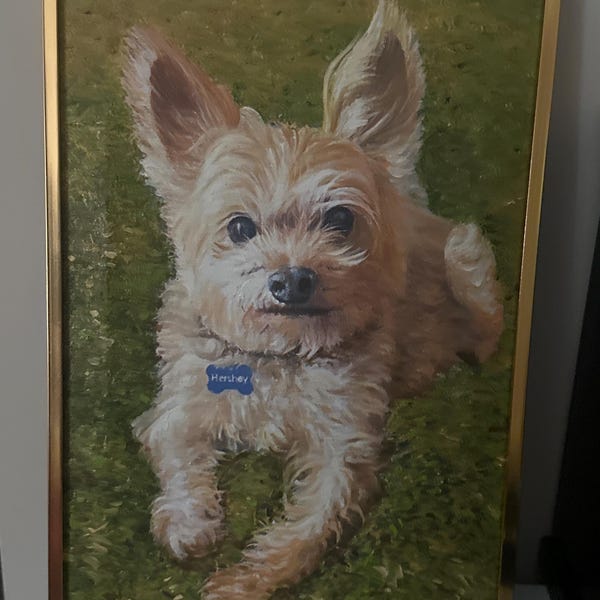 Custom Pet Portrait From Photo, Hand Painted Oil Painting on Canvas ...