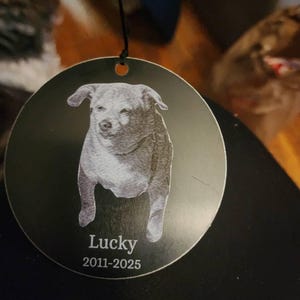 Custom Pet Memorial Wind Chime, Sketch Pet Loss Gift, Outdoor Dog Cat Remembrance Sign for Garden Decor,Sympathy Keepsake,Thoughtful Tribute