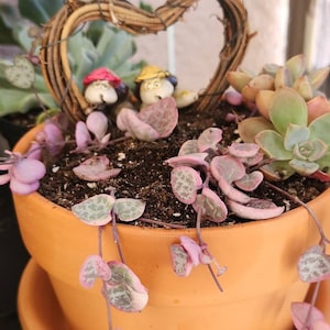 Elizabeth added a photo of their purchase