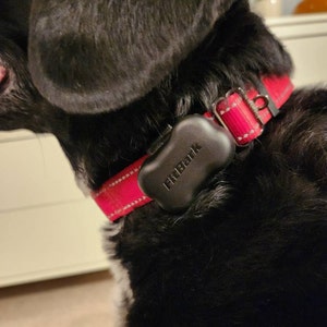 Fitbark 2 cover 2025