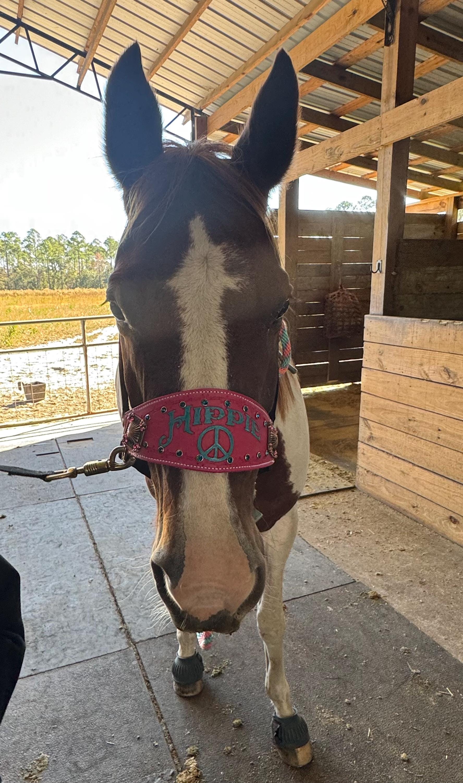 Custom Nylon Bronc Halter - Stronger Design Than Tab Style Leather Noseband