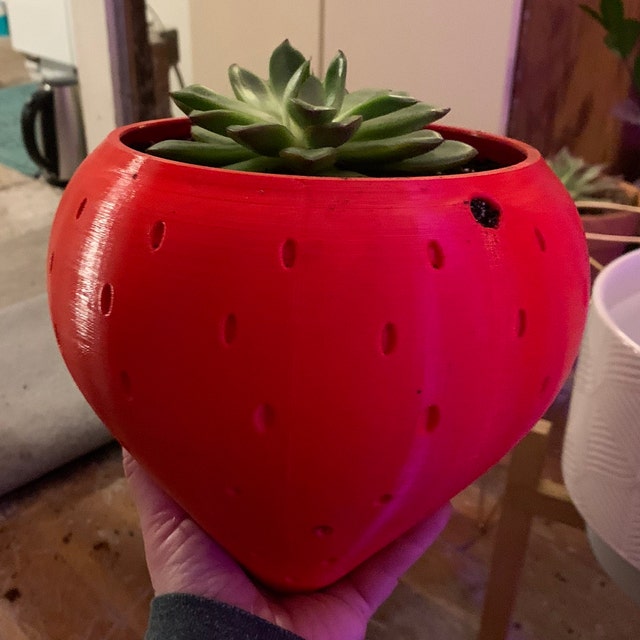 Strawberry Hanging Planter, Outdoor Hanging Planter Pot for Strawberry