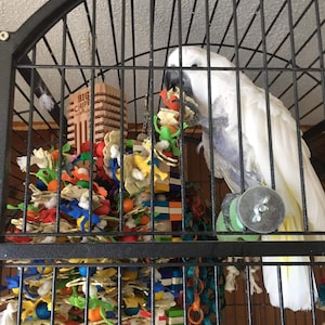 Stephanie added a photo of their purchase