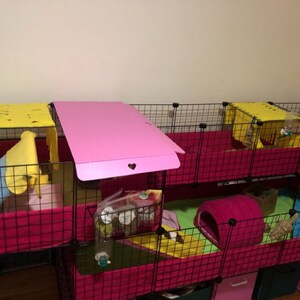 kallax guinea pig cage