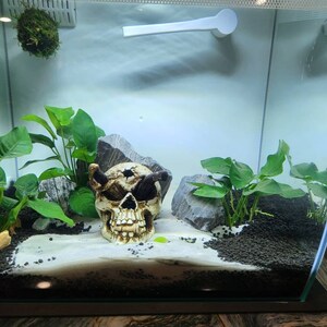 ADAM added a photo of their purchase