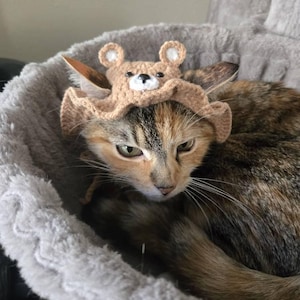 Tracy さんが購入した商品の写真を追加しました
