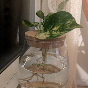 michelle added a photo of their purchase