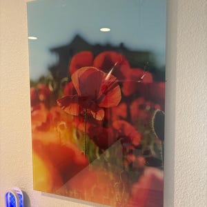 Melodee added a photo of their purchase