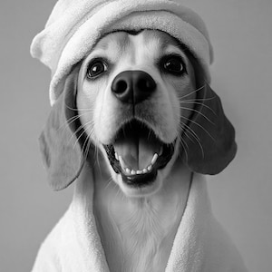 Amy ha añadido una foto de su compra