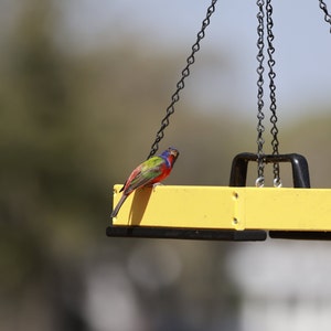 Nancy added a photo of their purchase