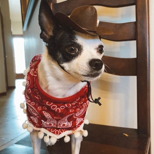 Indiana Jones Hat for Dog or Cat Brown 