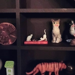 Whitney added a photo of their purchase