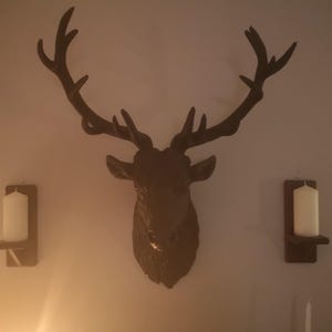 Steven added a photo of their purchase