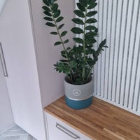 MELROSE 25cm Concrete Indoor Plant Pot Extra Large Planter Blue Silver ...