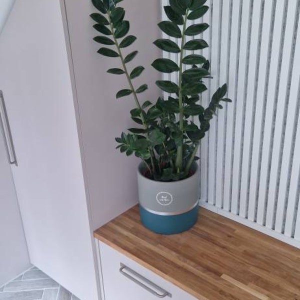 MELROSE 25cm Concrete Indoor Plant Pot | Extra Large Planter | Blue ...
