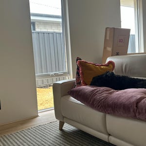 Elaine added a photo of their purchase