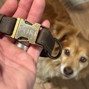 Giovanna heeft een foto van de aankoop toegevoegd