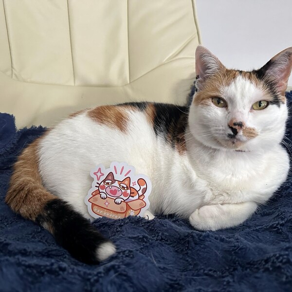 Dango Mochi Cat Stickers Set | 4.5 - 2