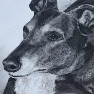 clare heeft een foto van de aankoop toegevoegd