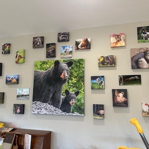 Bobbi hat ein Foto des gekauften Artikels hinzugefügt