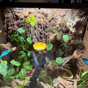 Rikki added a photo of their purchase