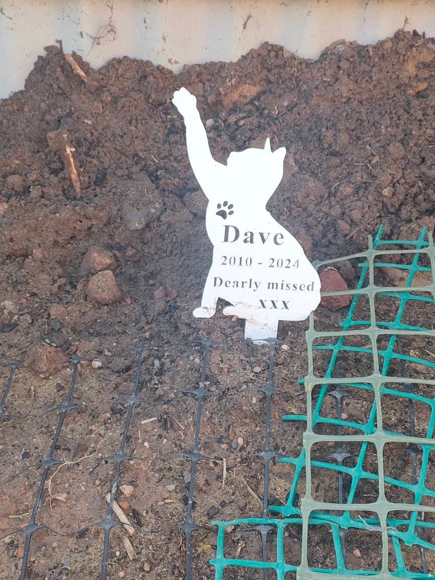 Custom Cat Memorial Stake Personalized Cat Memorial Plaque with Stake Cat Grave Marker Cat Memorial Gift Metal Garden Stake Cat Burial Stake