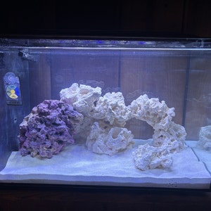 Elizabeth added a photo of their purchase