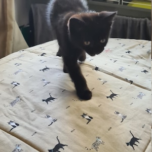 Tasha added a photo of their purchase