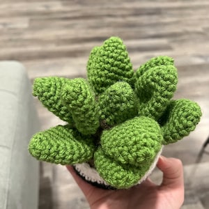 Caroline added a photo of their purchase