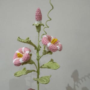 朝顔のかぎ針編みパターン、かぎ針編みの花のパターン、かぎ針編みの