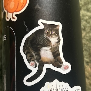 Em added a photo of their purchase