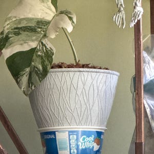 Kura added a photo of their purchase
