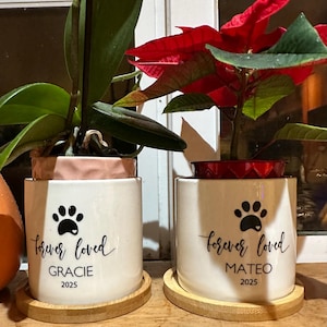Ana added a photo of their purchase