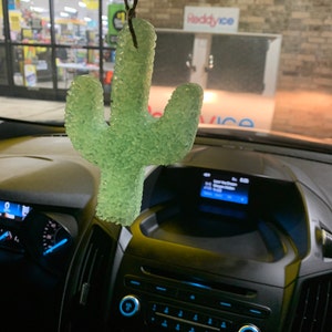 Cactus Starter Pack-Sweet Apple Car Freshie – Live For Creations