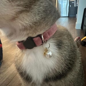 Sehaam added a photo of their purchase