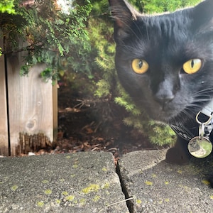 Lindsay added a photo of their purchase