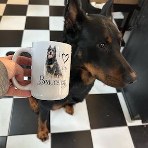 M. adicionaram uma foto da sua compra