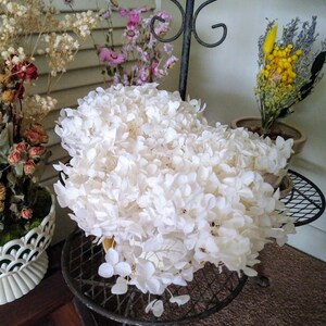 Wanda added a photo of their purchase