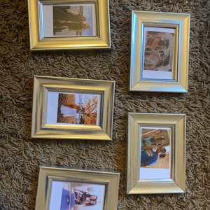 Ali added a photo of their purchase