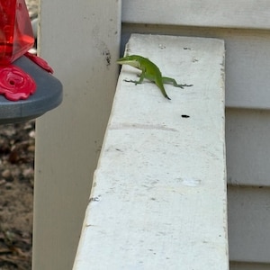 Ervin added a photo of their purchase